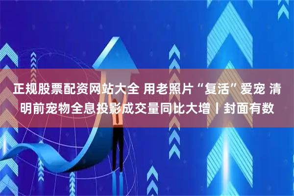 正规股票配资网站大全 用老照片“复活”爱宠 清明前宠物全息投影成交量同比大增丨封面有数